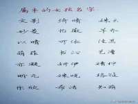 徐州锐特精电子商务有限公司